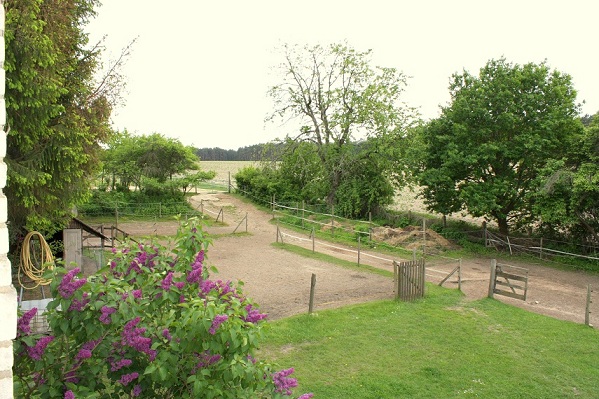 Wohnzimmerausblick Wohnzimmerausblick