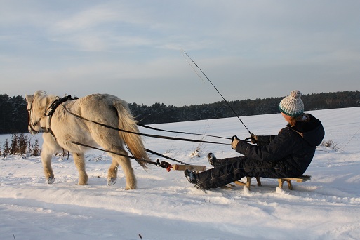 nur nicht runterfallen