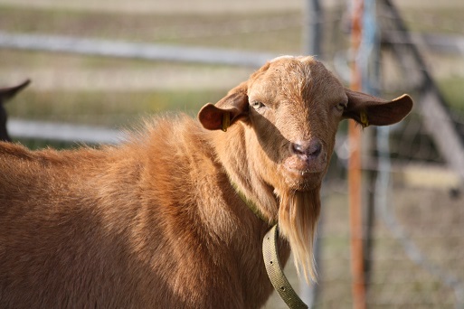 Zeus September 2013 Zeus September 2013